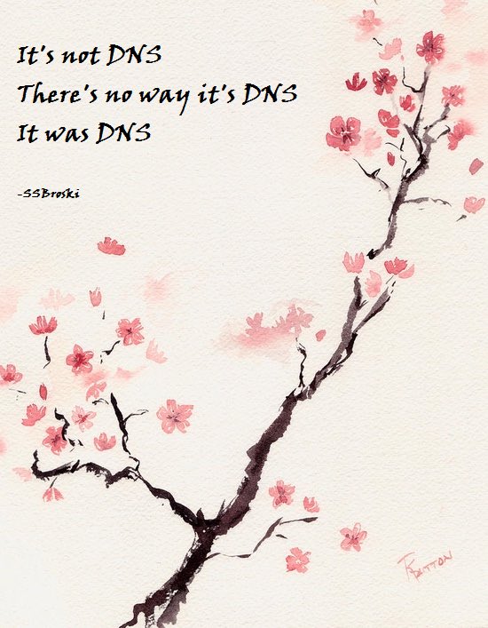 It's Not DNS, There's no way it's DNS, It was DNS